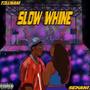 Slow Whine (feat. Sekani.)