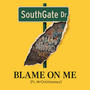 Blame on me (feat. Mr.Outthawayy) [Explicit]