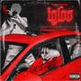 IGLOO (Explicit)