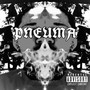 PNEUMA (Explicit)