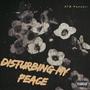 Disturbing My Peace (Explicit)