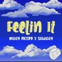 feelin it (feat. Shwiggy) [Explicit]