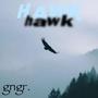 Hawk