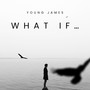 WHAT IF... (Explicit)