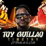 Toy Guillao