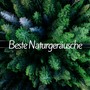 Beste Naturgeräusche: Heilung, Reiki, Spa, Massage, Therapie Musik, Gelassenheit