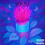 NICOTINA (Explicit)
