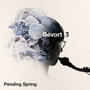 Pending Spring