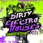 Dirty Electro House XIII