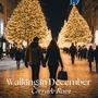 Walking In December