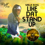 Like Dat Stand Up (Explicit)