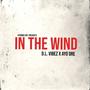 In The Wind (Explicit)