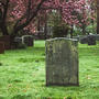 GRAVE (REMIX)