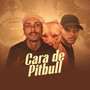 Cara de Pitbull (Explicit)