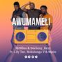 Awumameli (feat. Deebouy Keyz, Lily Tee, Nokulunga V & Mpilo)