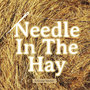 Needle In The Hay