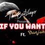 If You Want (feat. Danjah)