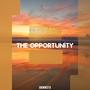 The Opportunity