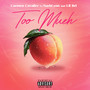 Too Much (Explicit)