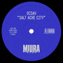 Salt Ache City