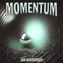 Momentum