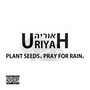 Plant Seeds. Pray for Rain.