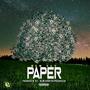 Paper (Explicit)