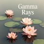 Let Go of Trauma: Meditations for Rest and Renewal