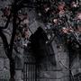 Nocturne No.1 in D flat Major