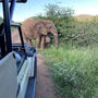 KRUGER PARK