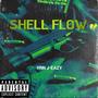 Shell Flow (Explicit)