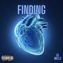 Finding (Explicit)