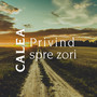 Privind spre zori