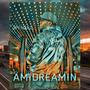 AMIDREAMIN (HEY LUV) [Explicit]