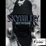 SKYBILITY EP (Explicit)