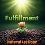 Fulfillment