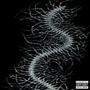LIVE LONG ROCK ON (Explicit)