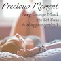 Precious Moment - Sexy Soft Chillout Lounge Musik för Söt Paus Avslappningsteknik