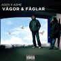 Vågor & Fåglar (Explicit)