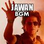 JAWAN (BGM)