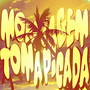 Montagem Toma Picada
