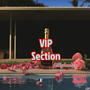 VIP Section (Explicit)