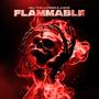 Flammable (feat. Juizze)