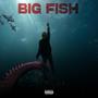 Big Fish (Explicit)