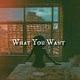 What You Want (feat. Hutbaby) [Explicit]