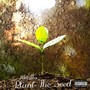 PLANT THE SEED! (Explicit)