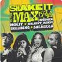 SHAKE IT TO THE MAX (FLY) (Remix)