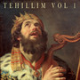 Tehillim, Vol. 1 (Salmos en Hebreo) [Explicit]