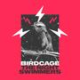 Birdcage