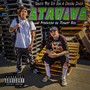 Strains (Explicit)